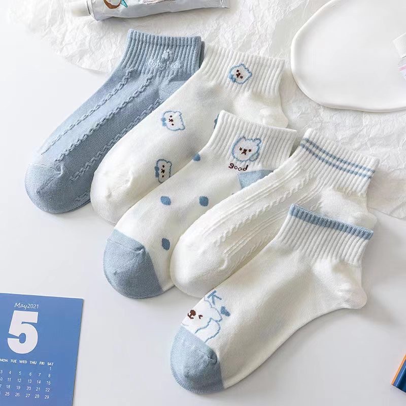 Vớ gấu xanh nữ set 5 đôi