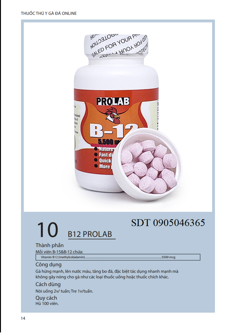 B12 5500 - thuốc nuôi gà đá tăng bo - tăng nước máu - độ lỳ của Mỹ hủ 100 viên