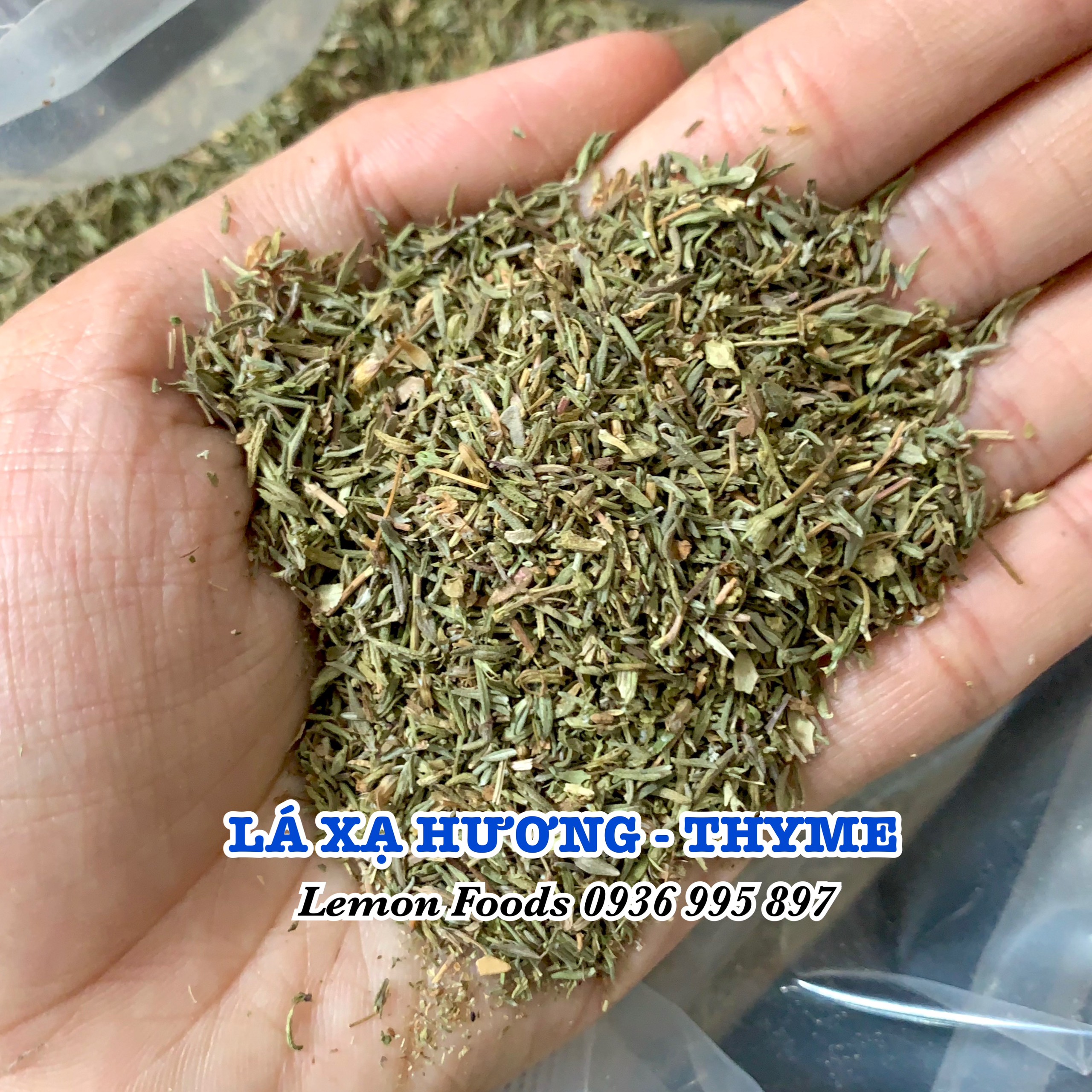Lá Thyme - Lá Xạ hương sấy khô thơm - Gia vị cho món Âu, ướp thịt, nấu súp, làm steak, pizza