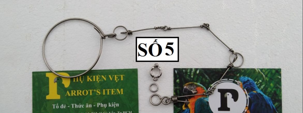 COMBO XÍCH CHỐNG XOẮN (HÀNG THÁI) VÀ VÒNG CHÂN SỐ 5 cho LoveBird, Yến Phụng