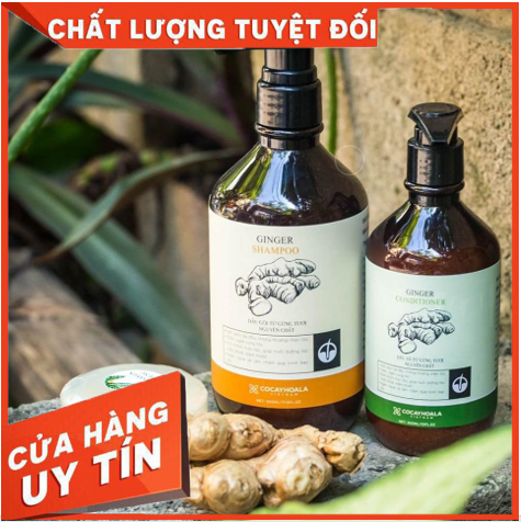 Dầu gội gừng 500ml và dầu xả gừng 300ml - cỏ cây hoa lá
