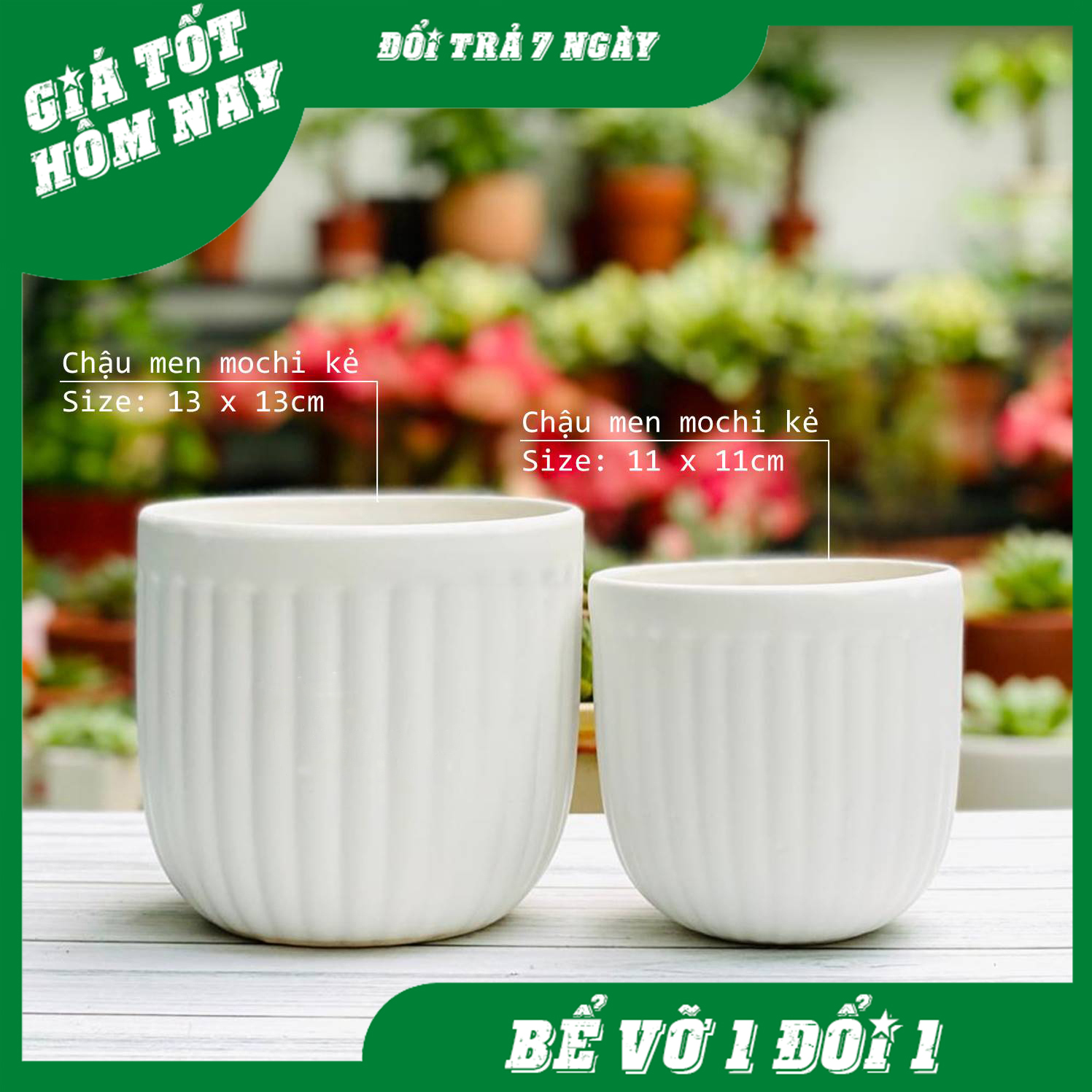 Chậu men sứ trồng cây để bàn Mochi kẻ sọc trồng cây tiểu cảnh  terarium