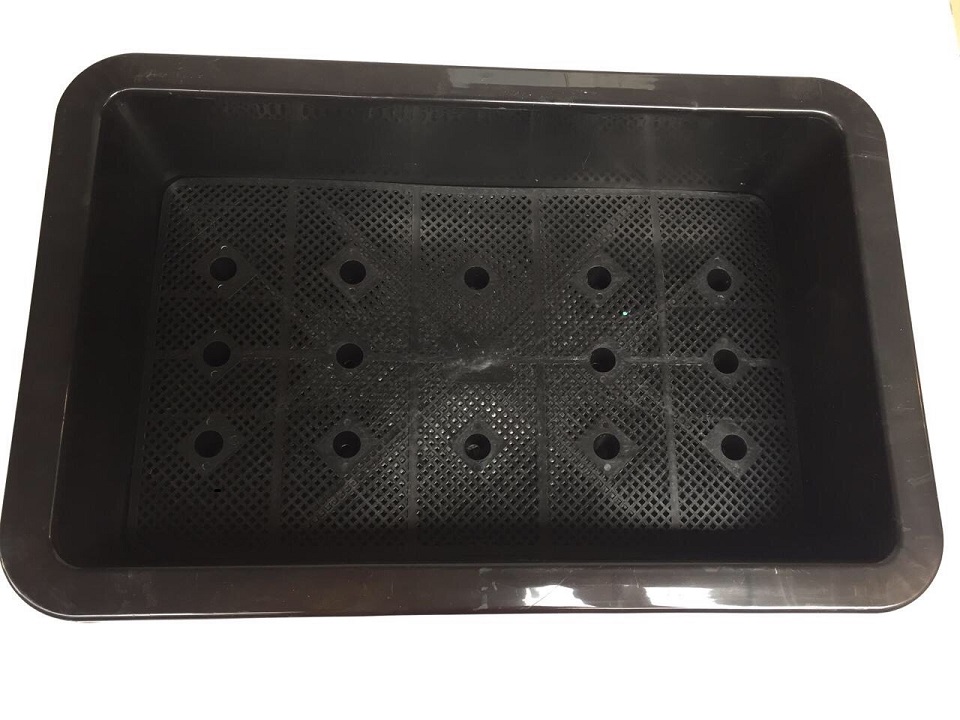 10 Chậu trồng rau sạch thông minh - Khay trồng cây thông minh (63x41x16cm)