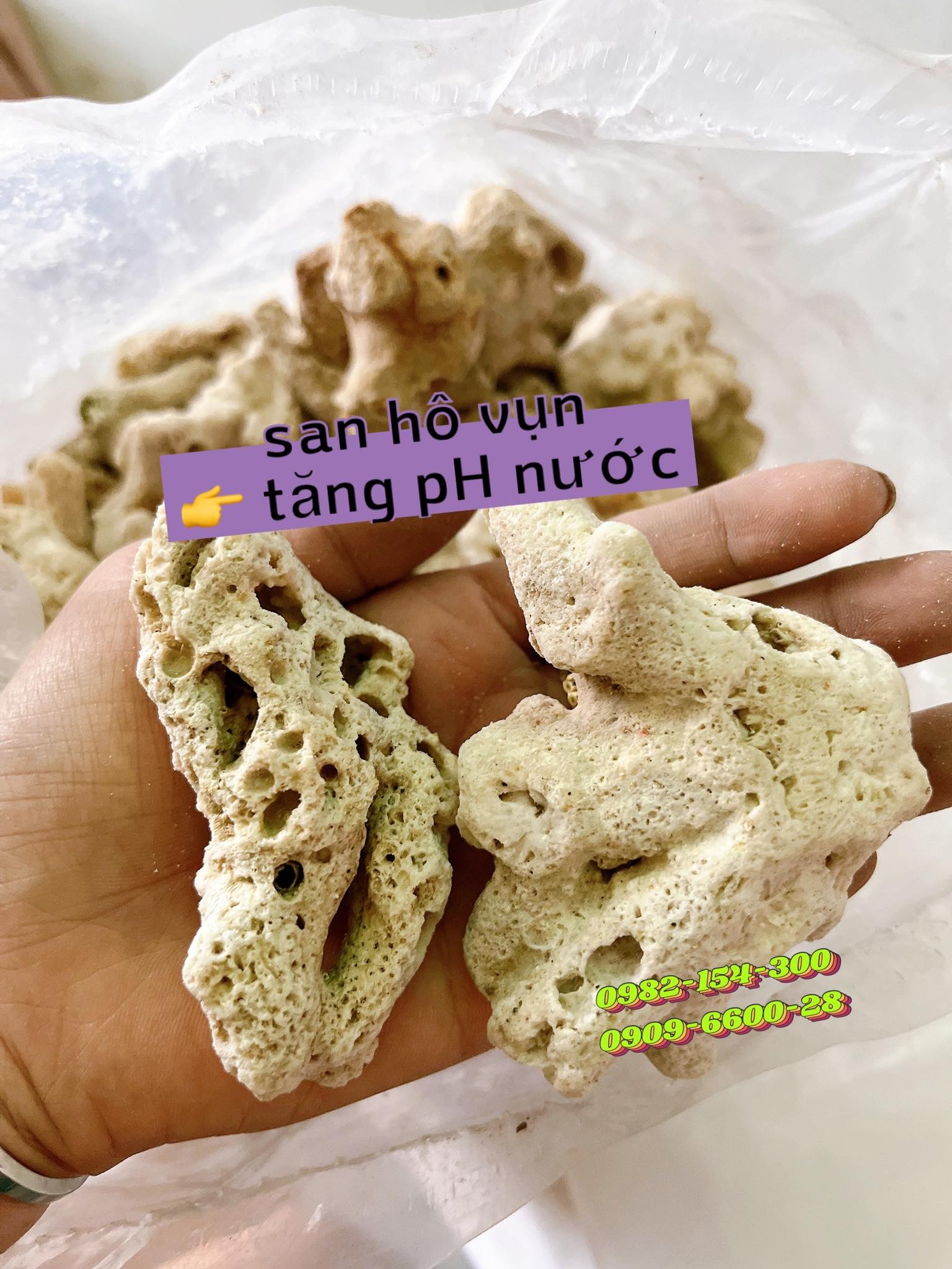 San hô 1kg lọc nước cho bể cá , san hô đẹp - San hô đũa giá sỉ cho hồ cá koi