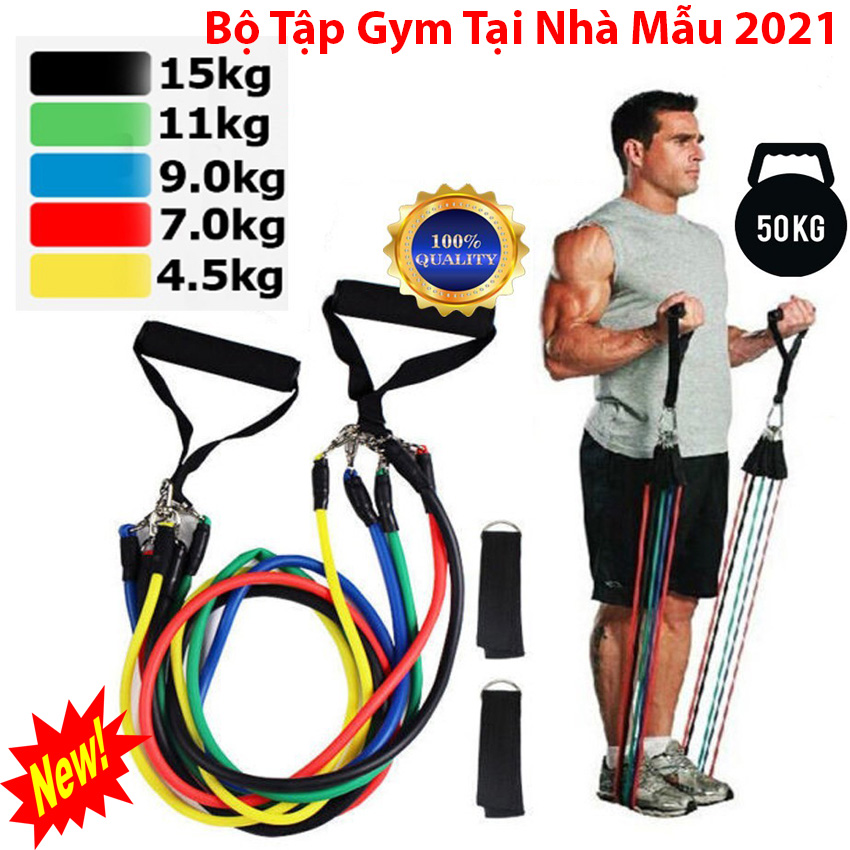 Bộ 5 Dây Đàn Hồi Tập Thể Hình, Dây tập gym tại nhà, Chiếc Dây Kháng Lực Tập Luyện Fintess Băng Tập Phục Hồi Chức Năng, Bộ dây tập đa màu sắc, độ bền cao không bị giãn, Bảo hành dây tập 12 tháng.