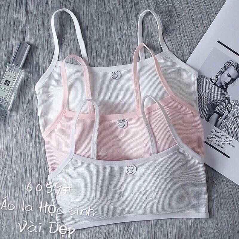 Combo 2 áo lót học sinh, áo lót cho bé gái mới lớn, áo bra học sinh hàng cotton tăm mã 6059