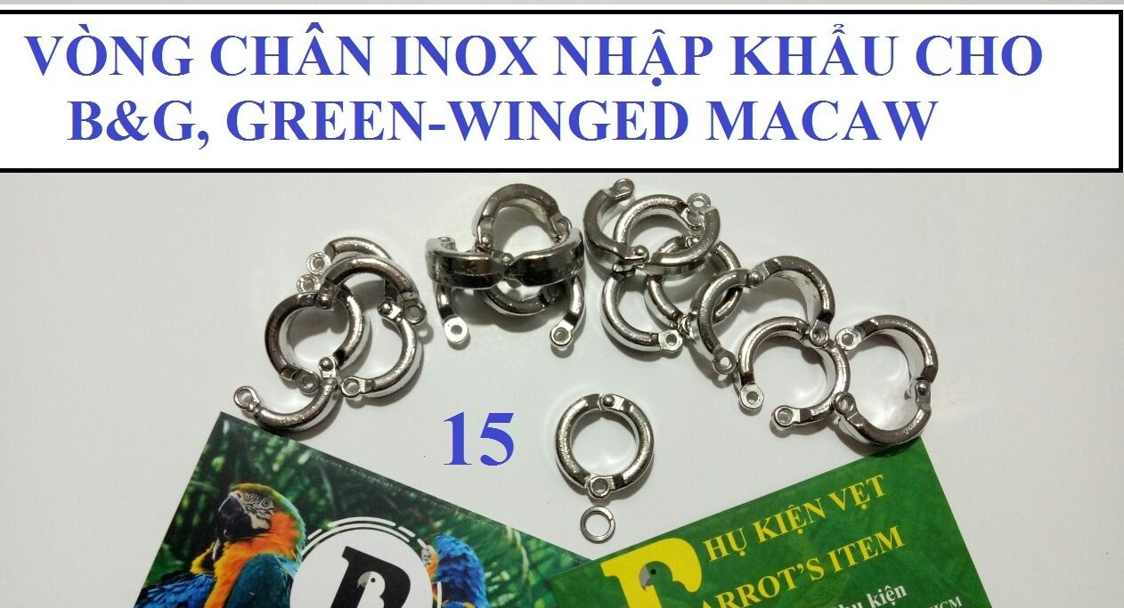 [HCM]VÒNG CHÂN SỐ 15 CHO VẸT B&G MACAW GREEN-WINGED MACAW (INOX CAO CẤP NHẬP KHẨU)