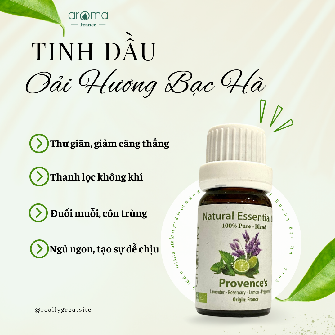 Tinh dầu aroma oải hương bạc hà nguyên chất thư giãn, giảm đau đầu, giảm mệt - 10ml/15ml/30ml/50ml