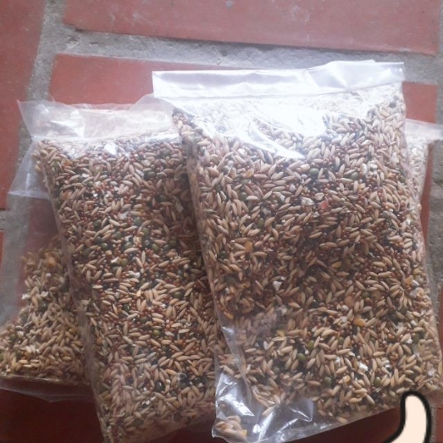 1 kg ngũ cốc cho chim cu gáy