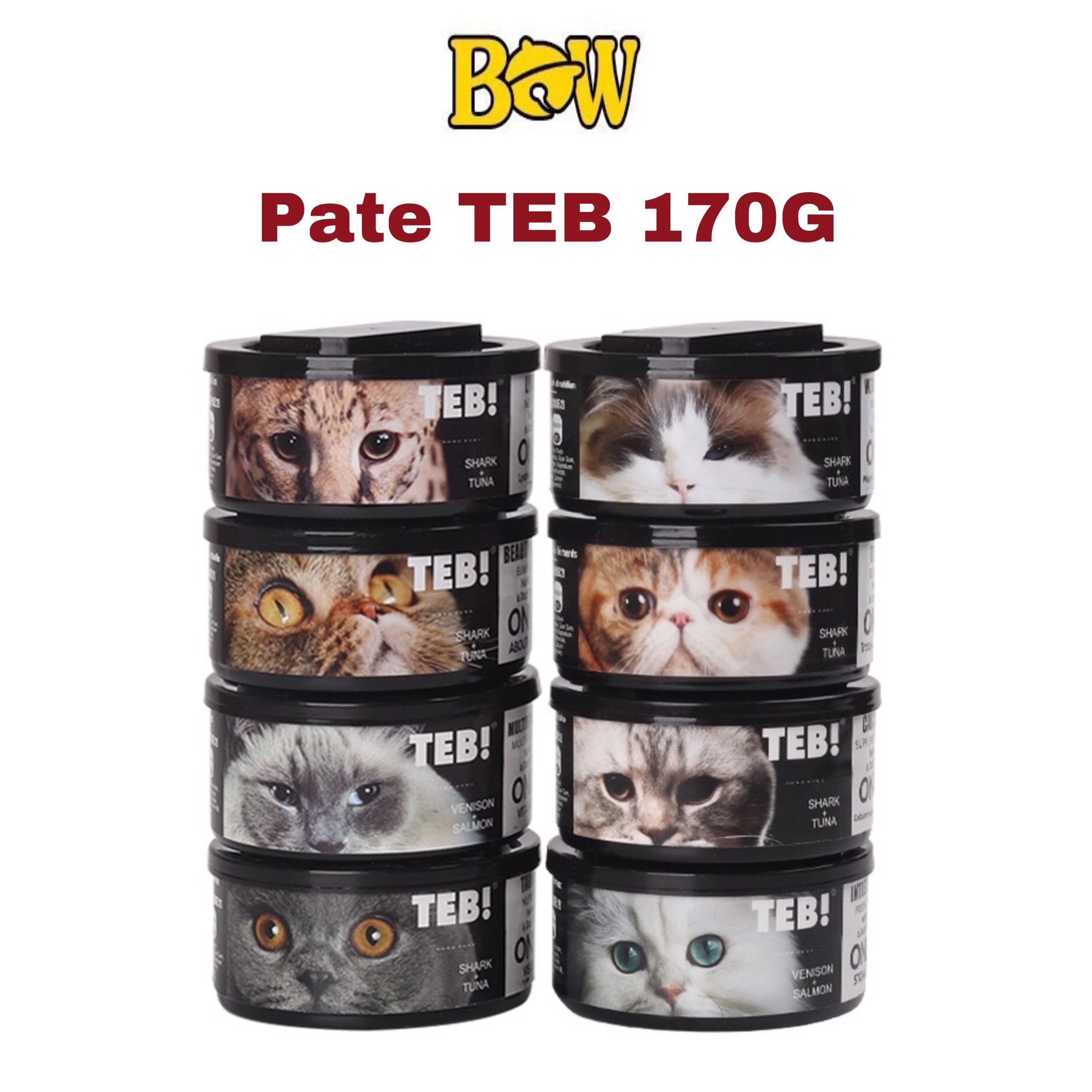 Pate teb only lon 170g - pate cung cấp chức năng cao cấp cho mèo