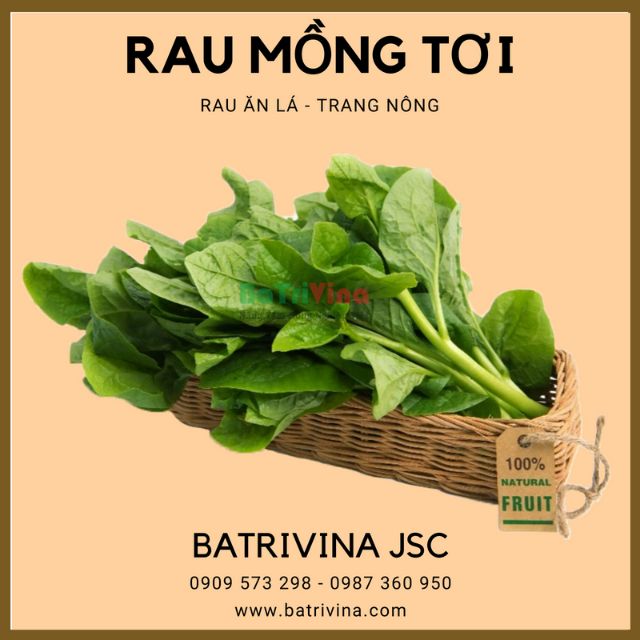 Gói 10gr hạt giống mồng tơi trang nông