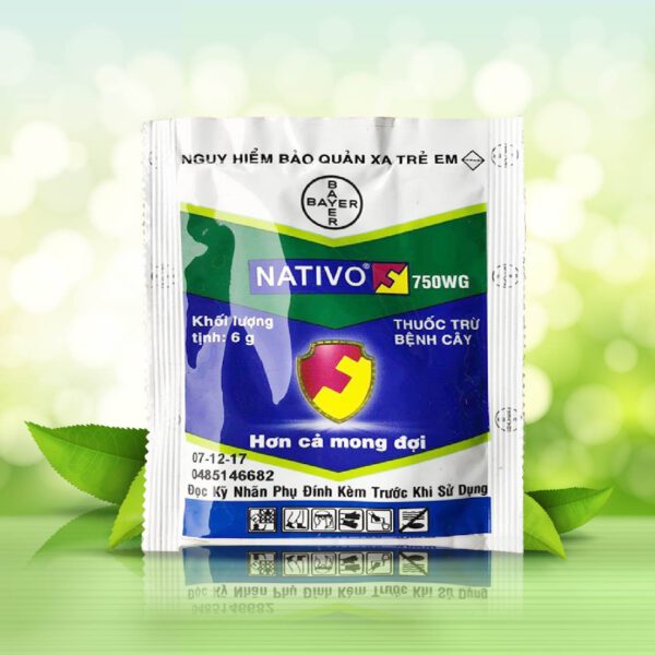 Nativo 750WG – Đặc trừ thán thư, phấn trắng hiệu quả