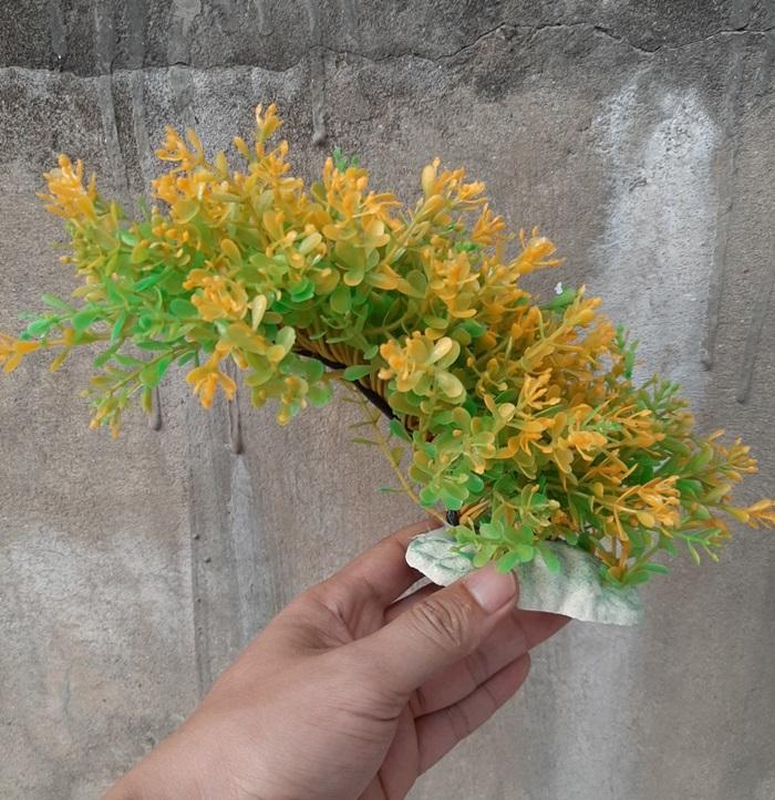 Cây nhựa trang trí bể cá: Mẫu cầu vồng