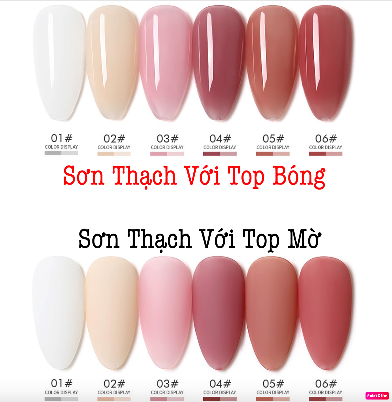 Sơn gel thạch as mã bbx 15ml