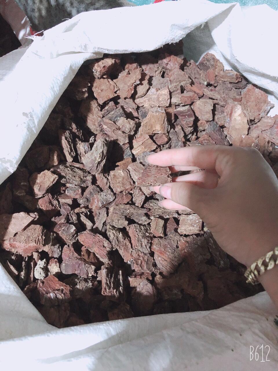 Vỏ thông trồng lan đều, đẹp size 2-3 cm túi 1.9 kg