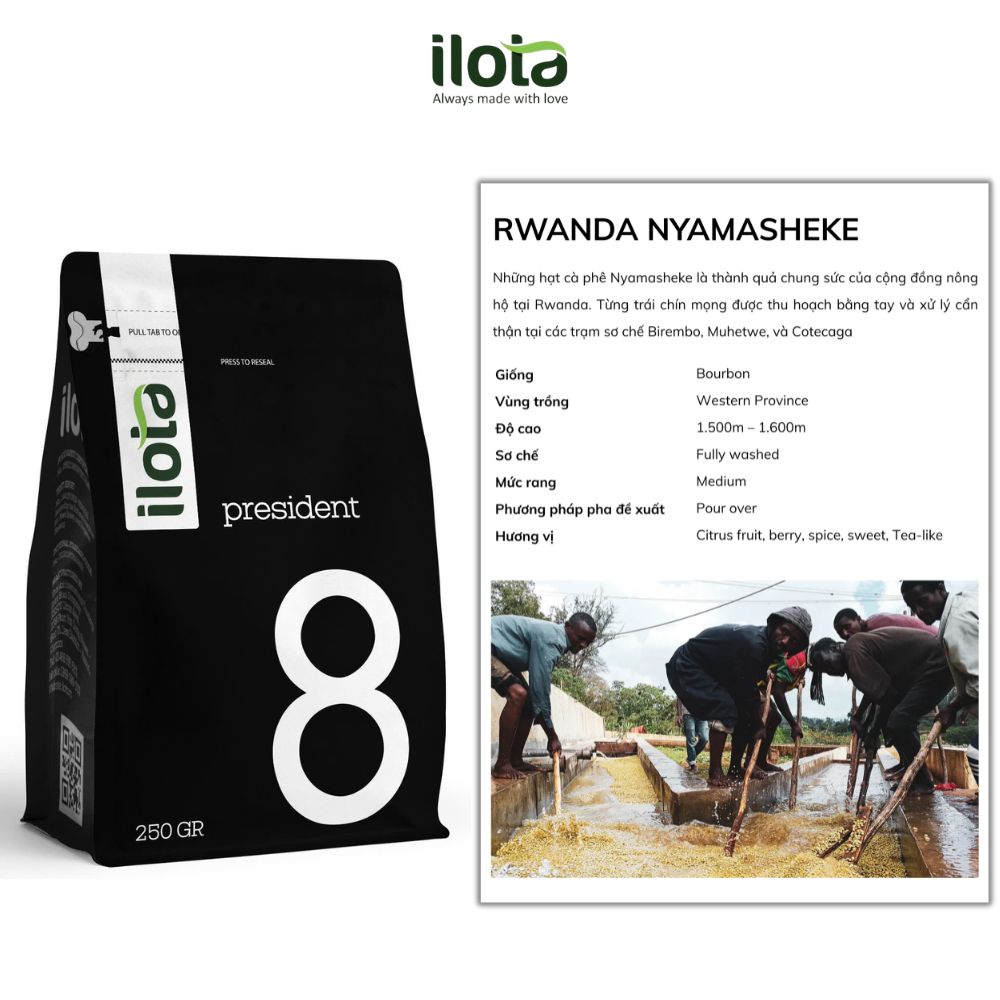 Cà phê rang mộc Arabica Rwanda Nyamasheke 250g/500g - ILOTA Coffee Roasters