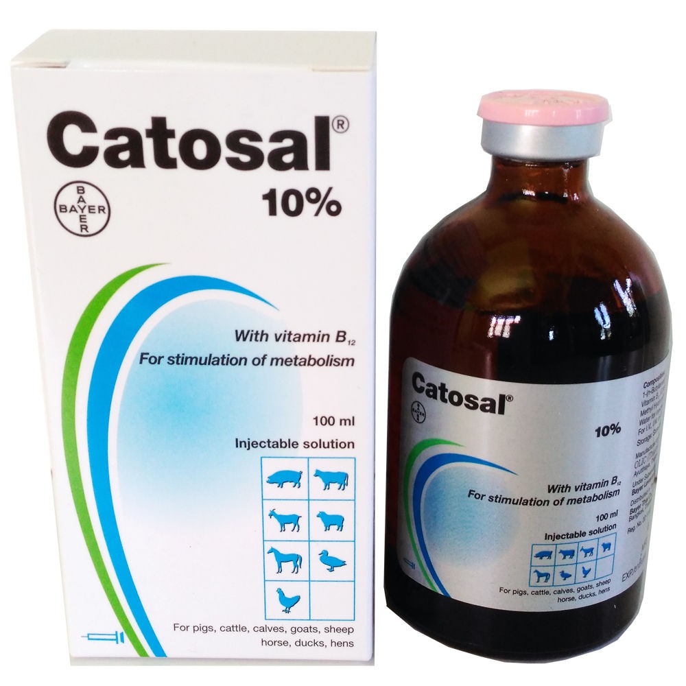 Catosal 10% - bổ sung dinh dưỡng cho thú nuôi - ruvet viet nam - dụng cụ thú y - thuốc thú y