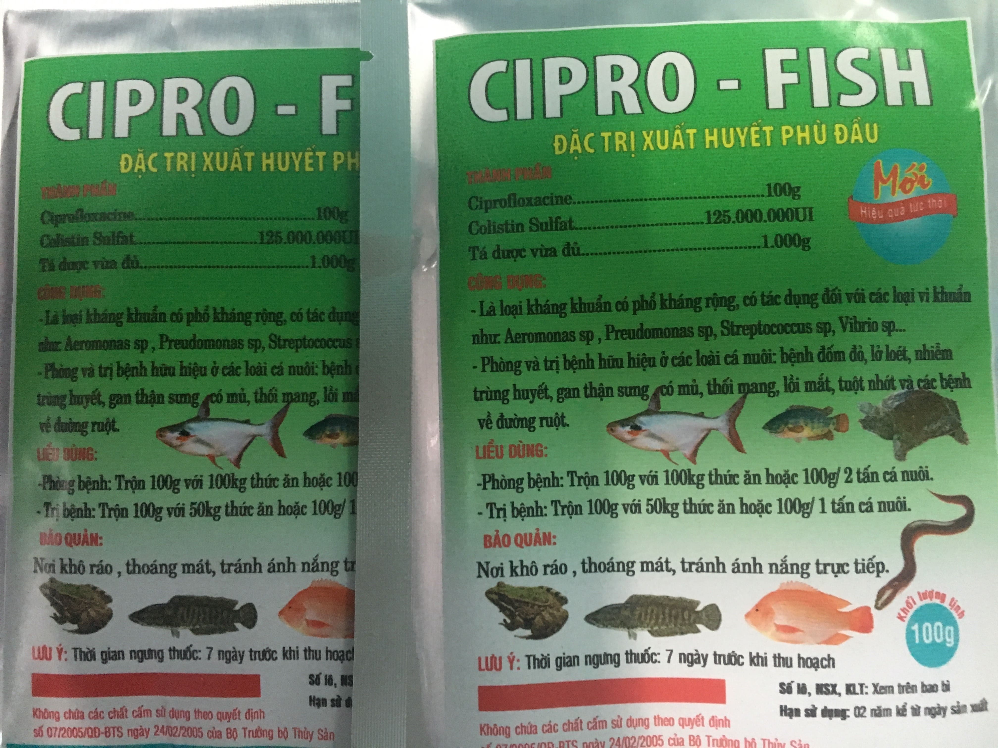 Cipro-Fish đặc tri xuất huyết phù đầu dùng cho cá lươn ếch baba và các loài thủy sản