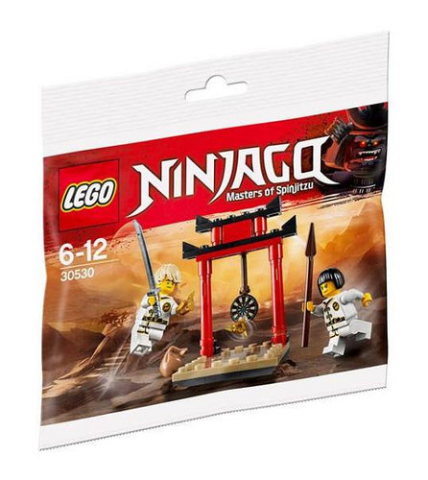 Lego Ninjago 30530 - WU-CRU Target Training polybag - Bộ xếp hình Lego Huấn luyện mục tiêu của sư phụ Wu