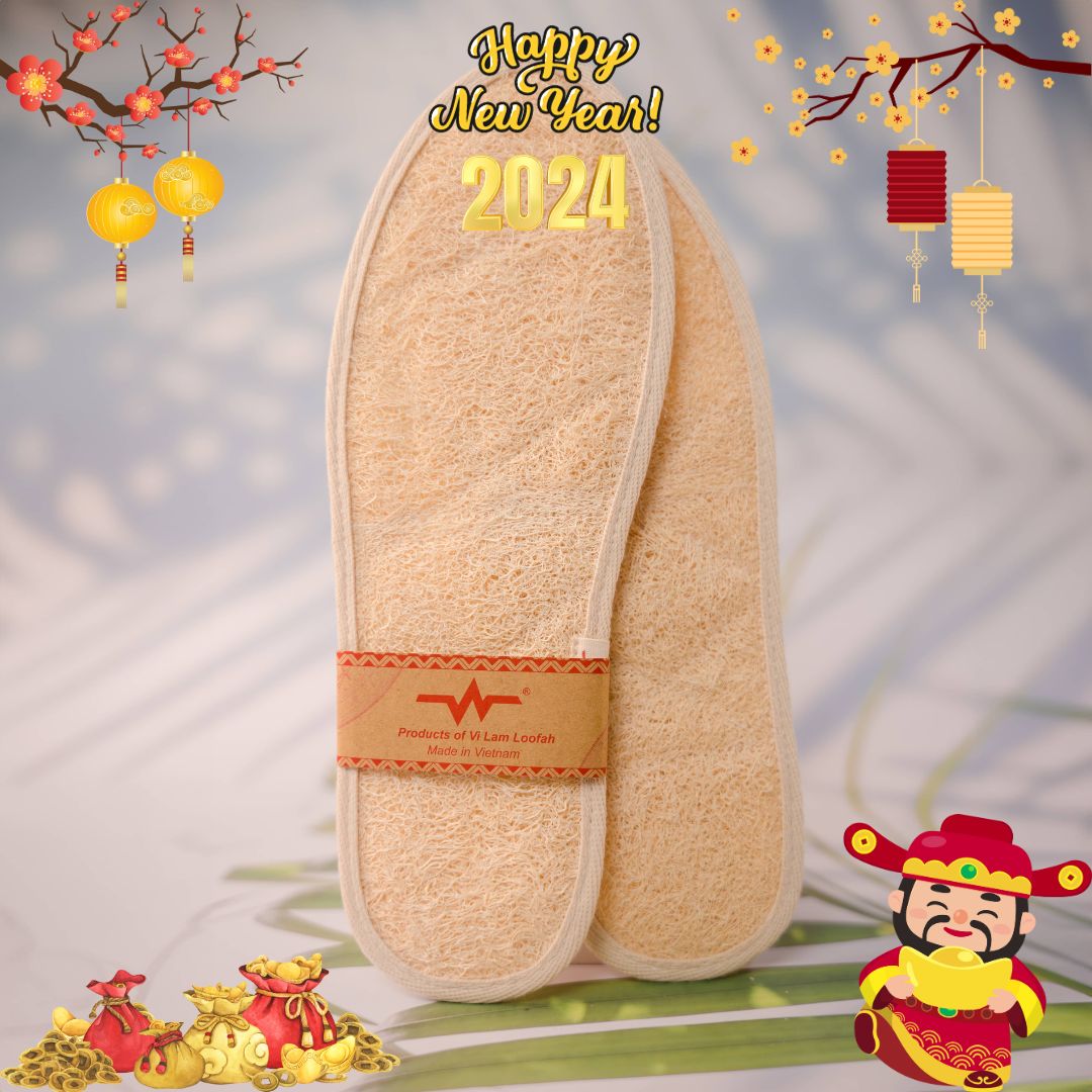 Miếng lót giày xơ mướp vi lâm giúp massage chân và thấm hút mồ hôi chân
