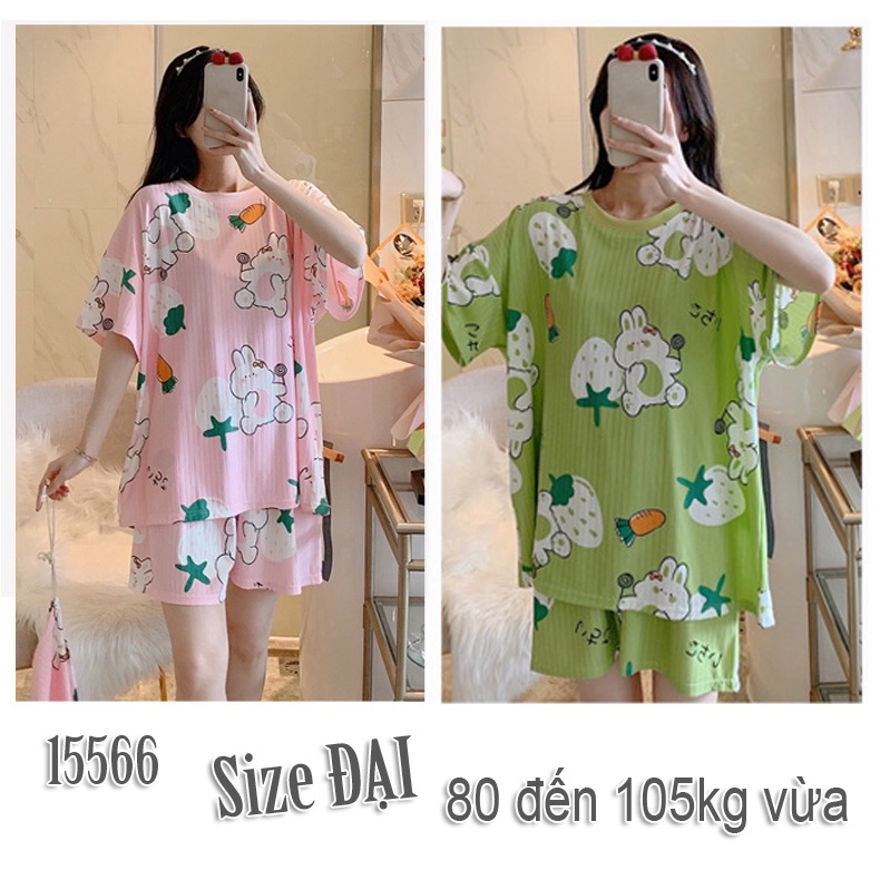 Đồ bộ short big size họa tiết cute ss-dai 15566
