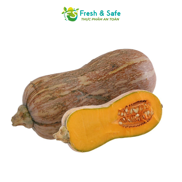 [HOẢ TỐC HCM] Bí Đỏ Hồ Lô