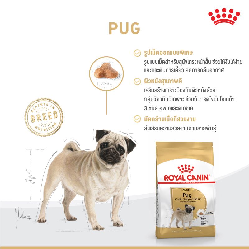 [giao2h pettohouse] thức ăn cho chó trưởng thành Royal Canin pug adult 1,5kg hạt khô sản xuất tại pháp cho chó pug mặt xệ trên 10 tháng tuổi