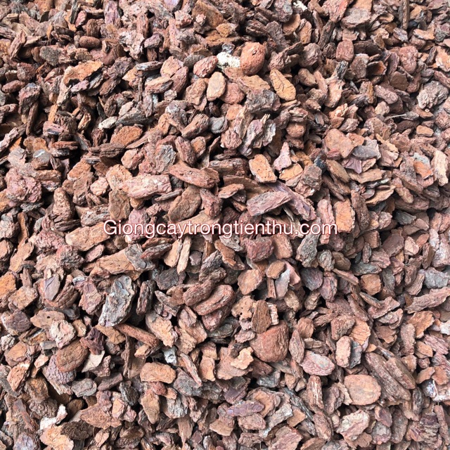 Vỏ thông trồng lan ecobark 1kg