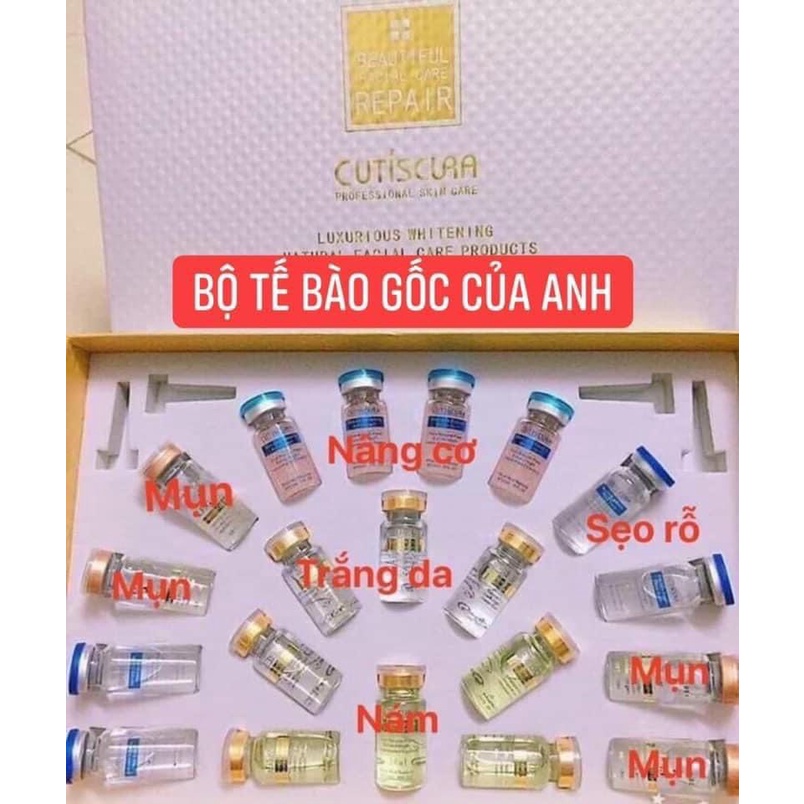 Tế bào gốc cutiscura, tế bào gốc anh- spa88