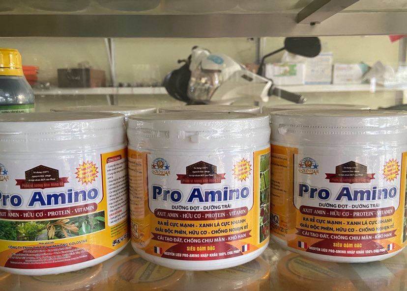 phân bón hữu cơ đậm đặc PRO AMINO (Hũ 400 gam) nhập khẩu 100% từ Pháp chuyên dùng cho hoa lan, cây ăn trái, rau màu giúp ra rễ cực mạnh, lá xanh dày, bóng lá, phát đọt cực nhanh, nuôi trái non, đẹp màu trái