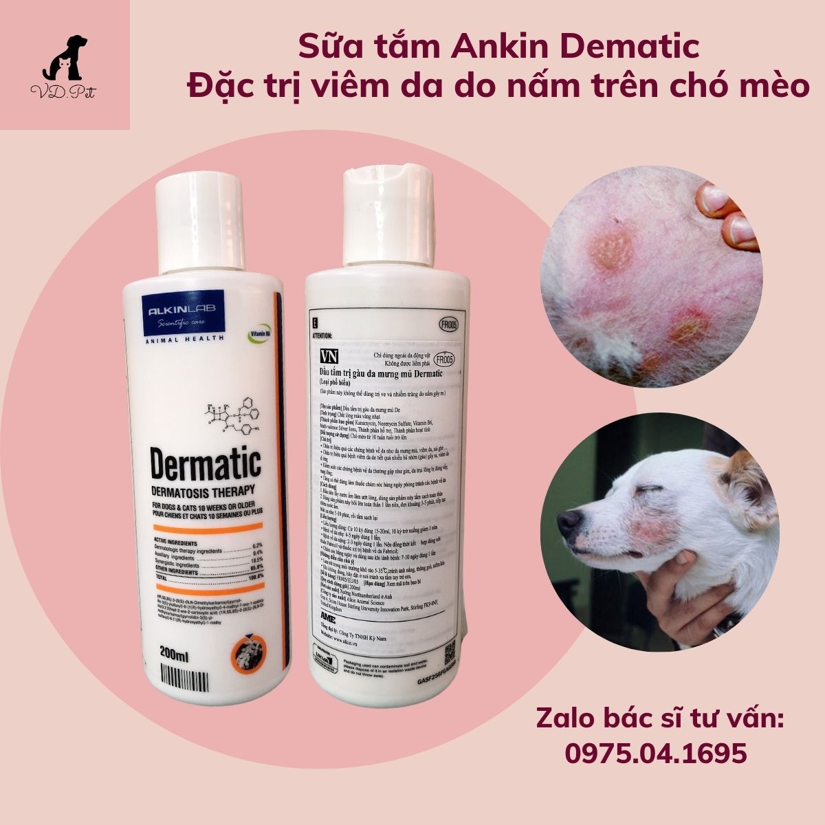 Sữa tắm đặc trị viêm da dạng mủ trên chó mèo - Dematic