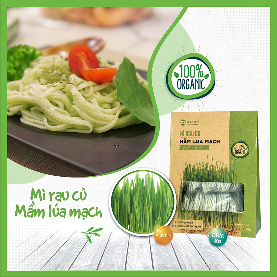 Mì Rau Organic Mầm Lúa Mạch Hữu Cơ Anpaso, Eat clean, Giảm Cân, ăn chay, không chiên nóng, tốt cho tiêu hóa 120g