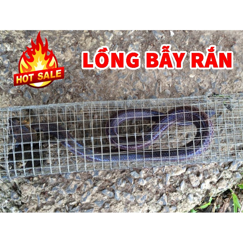 Lồng bẫy rắn size 80cm x 15cm, lồng bắt rắn kiểu mới