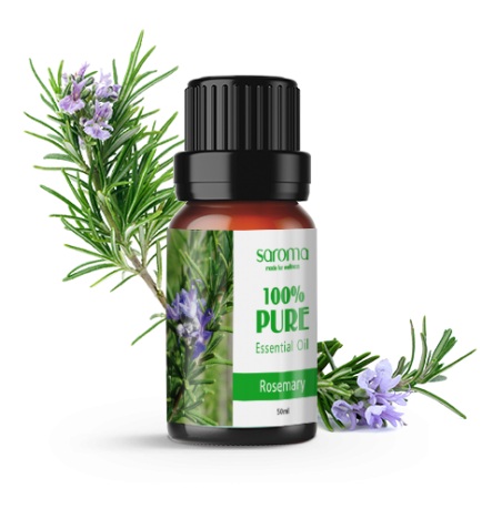 TINH DẦU THIÊN NHIÊN HƯƠNG THẢO Rosemary