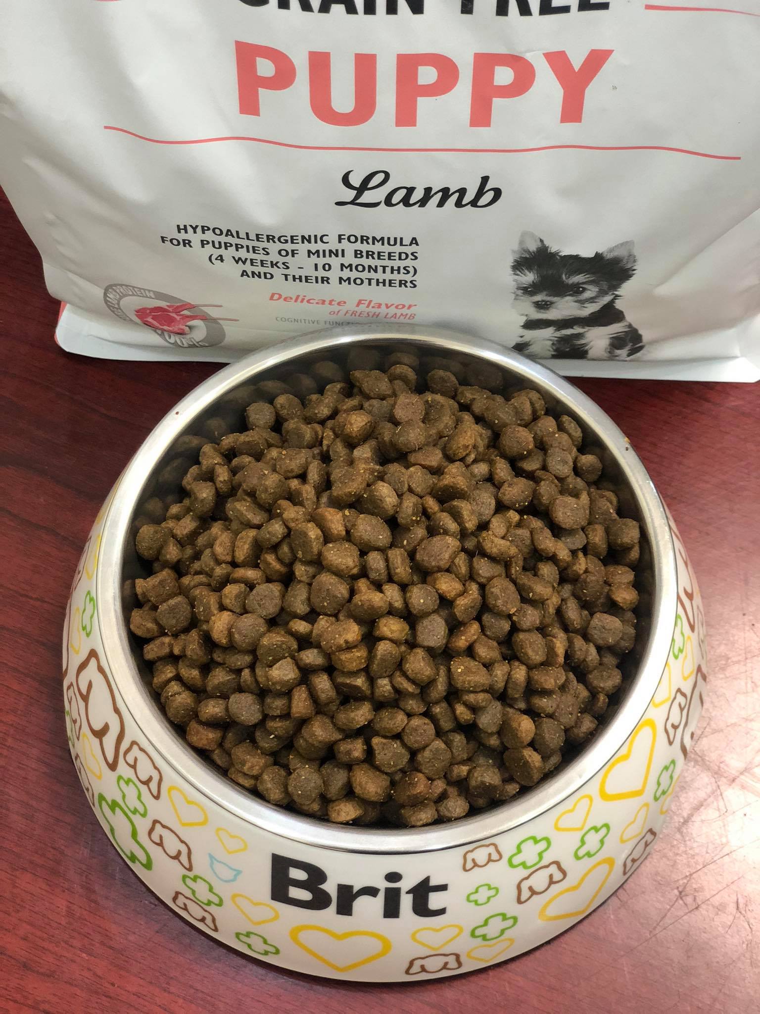 Thức ăn hạt cao cấp cho mọi giống chó giai đoạn trưởng thành Cá