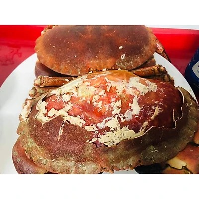 [Chỉ giao HCM] Cua Nâu Siêu Gạch Ireland 400-600Gr