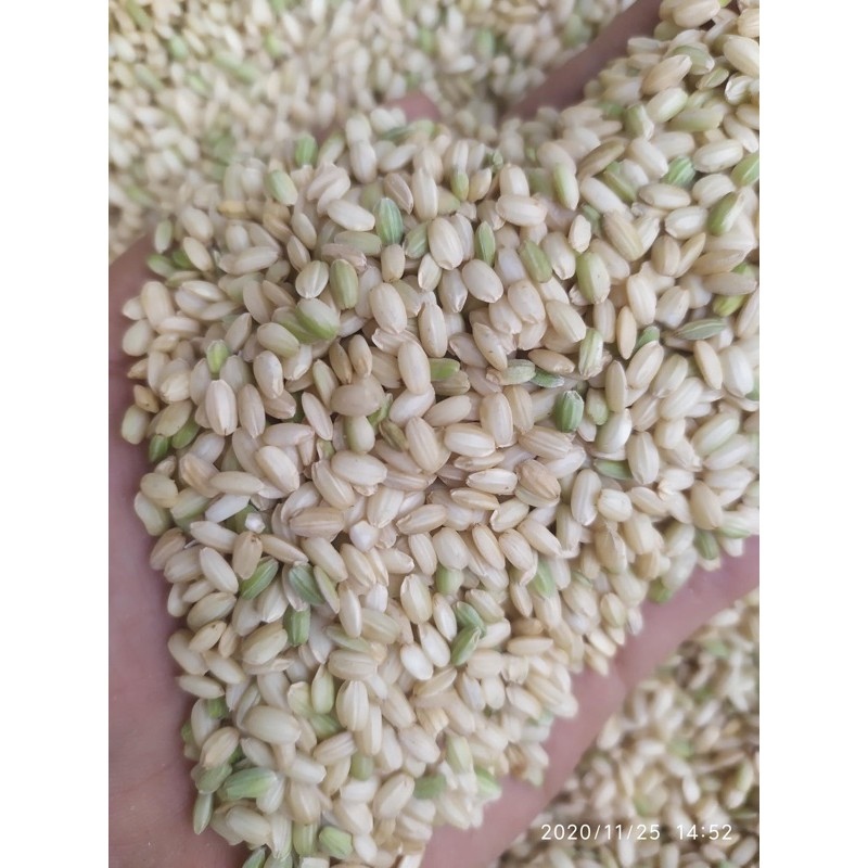Gạo lứt nếp hoa vàng 1kg