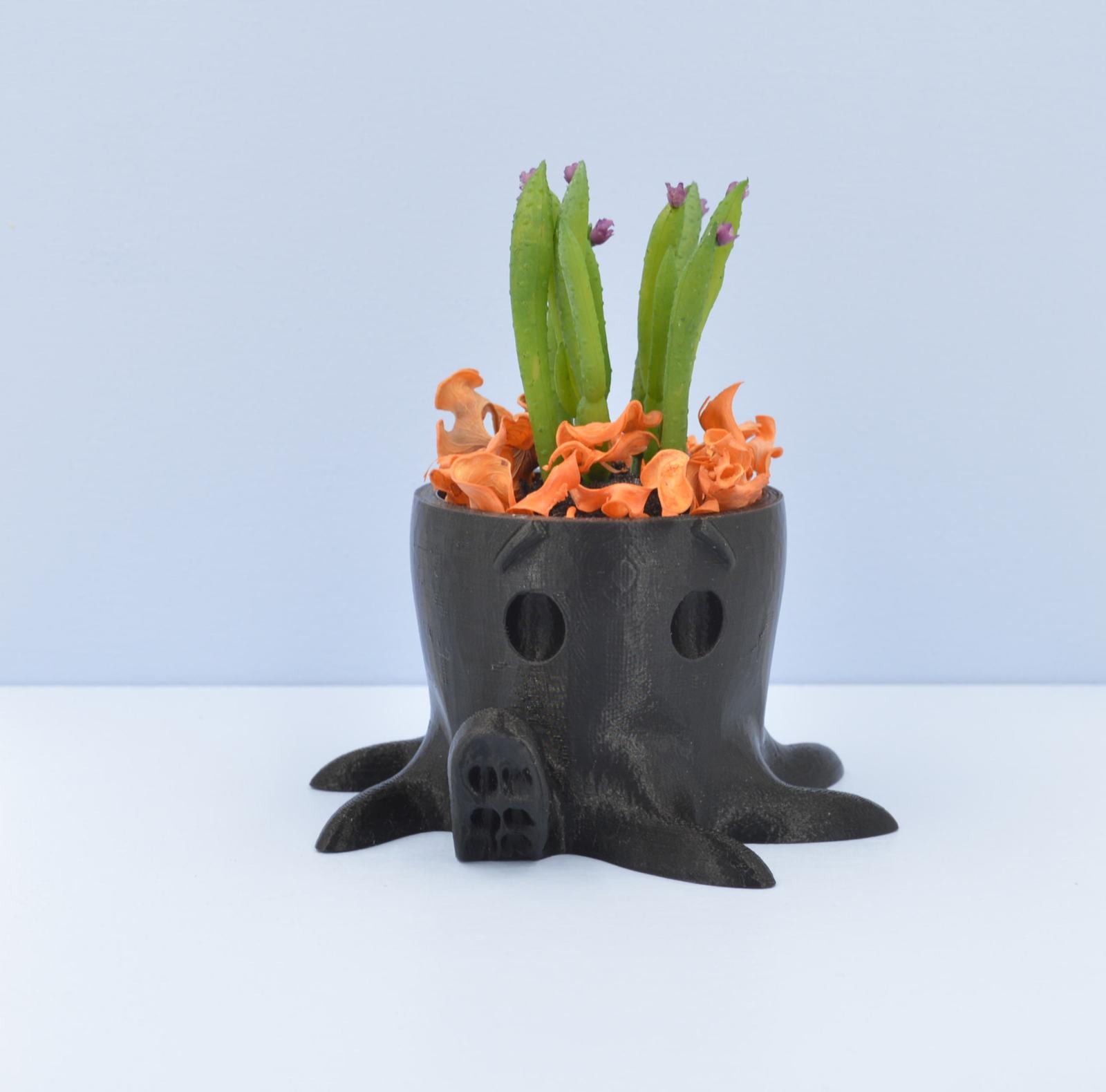 Chậu cây bạch tuộc siêu dễ thương - Cute Octopus planter