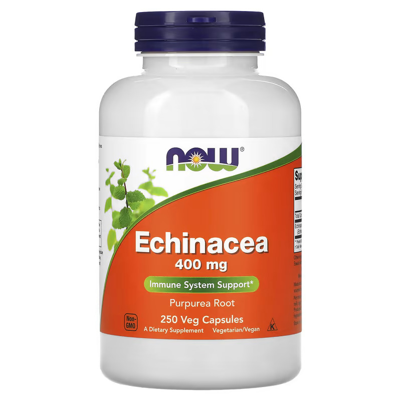 Thảo dược Hoa cúc tím, NOW Foods, Echinacea, 400 mg, 250 Veg Capsules