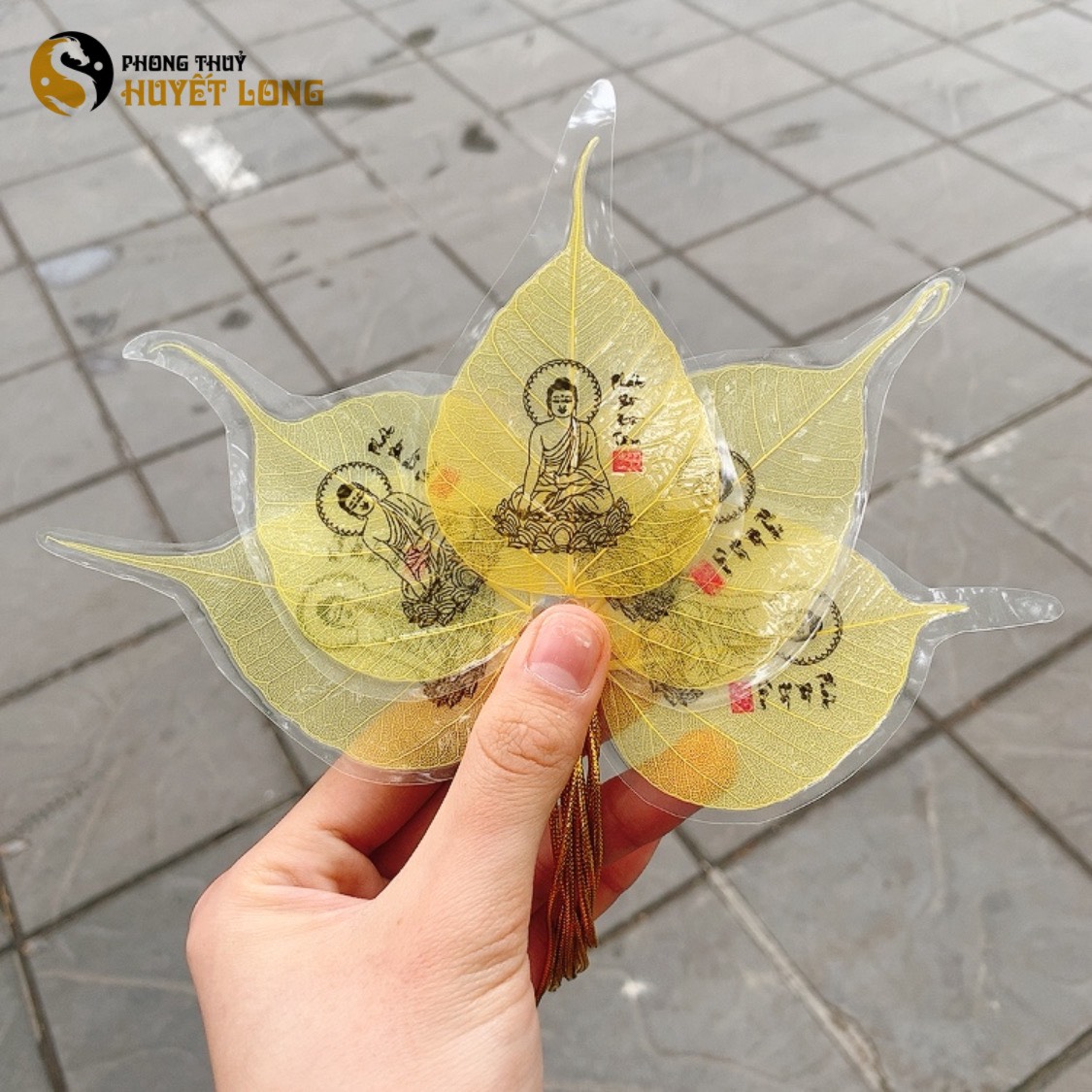 Lá Bồ Đề Tâm Phật, Lá Bồ Đề Tự Nhiên - Tài Lộc- May Mắn- Bình An, Lá Bồ Đề Phong Thủy