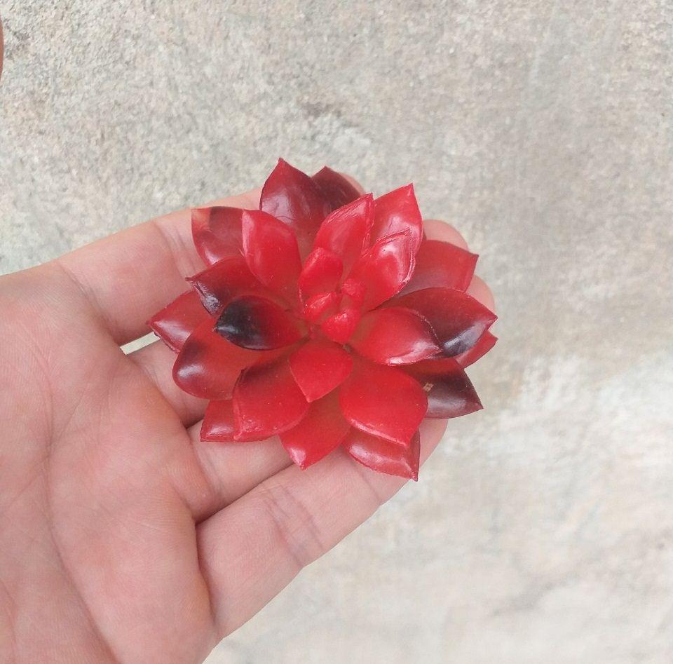 Cây hoa nhựa: mẫu sen đá phật bà đỏ nhựa