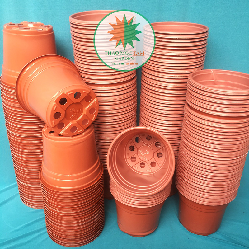 50c Chậu nhựa trồng hoa 15x12.5cm / Chậu chuyên trồng hoa, dâu tây