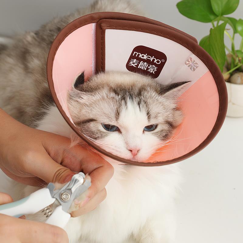Vòng đeo cổ elizabeth cỡ lớn chống trầy xước chống cắn cho thú cưng eli