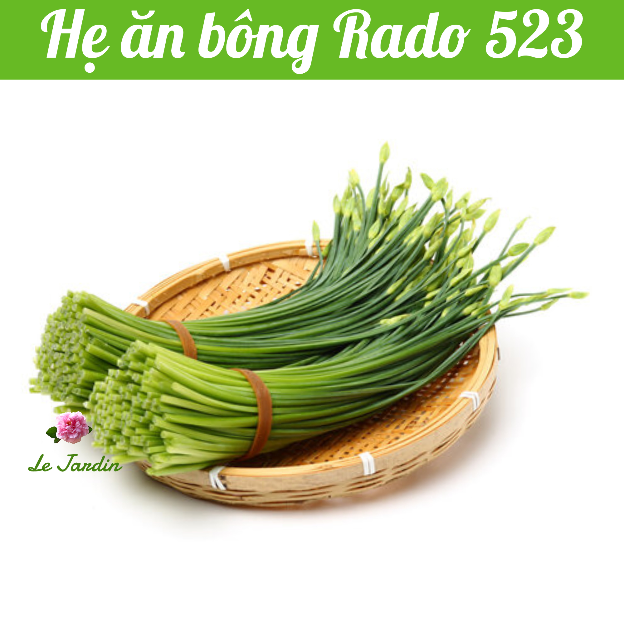 Hạt giống hẹ ăn bông rado 523 gói 1gr - dễ trồng