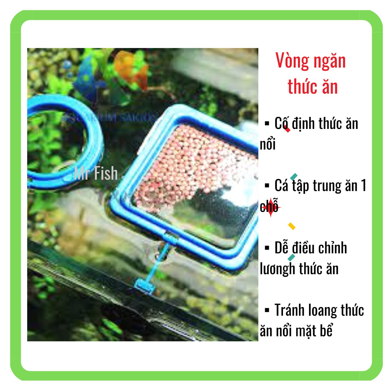 Vòng ngăn thức ăn cho cá Vuông/ Tròn - Vòng cho cá ăn - Mr Fish