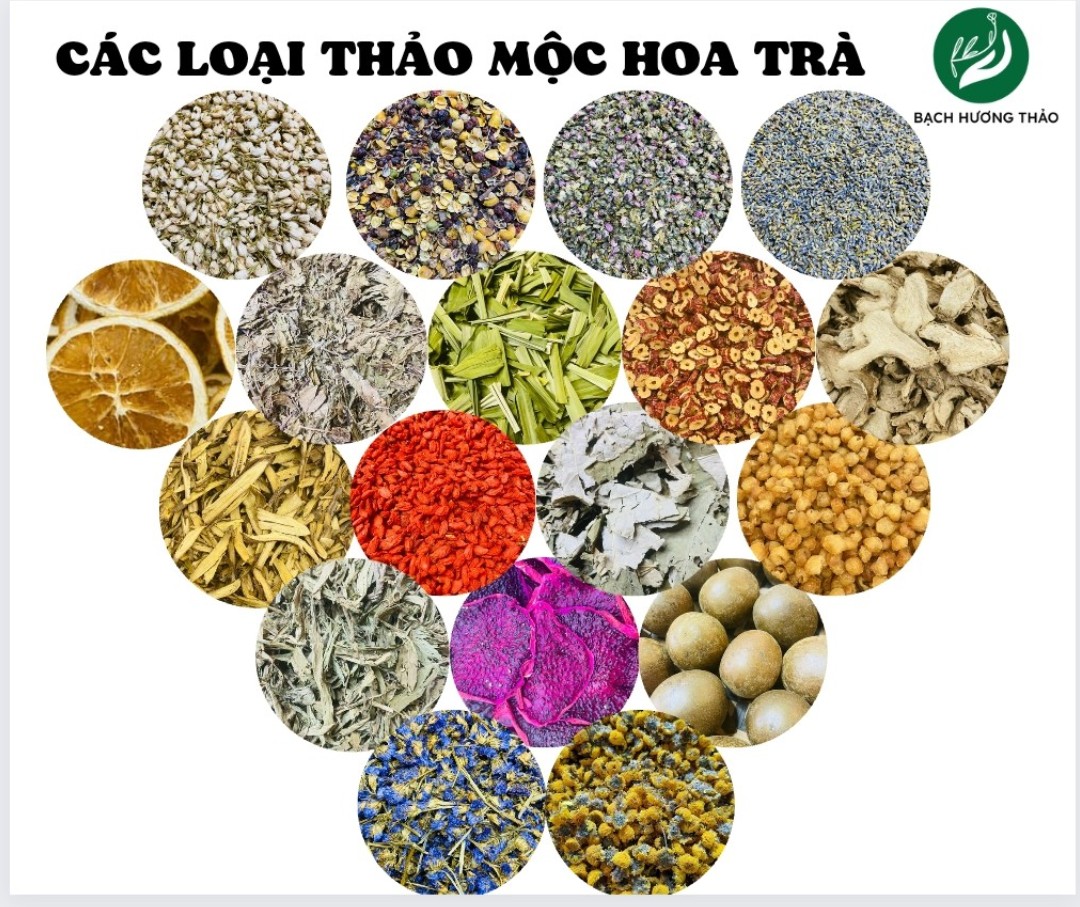 Các loại hòa trà sấy khô GÓI 50g, 100gr trà hoa thảo mộc detox, cúc chi, hoa hồng, lavender, bách nhật, đào nụ, nụ atiso đỏ, hoa chi bản, nhài, lưu ly, cúc chi, đậu biếc, kim cương, BẠCH HƯƠNG VÂN THẢO
