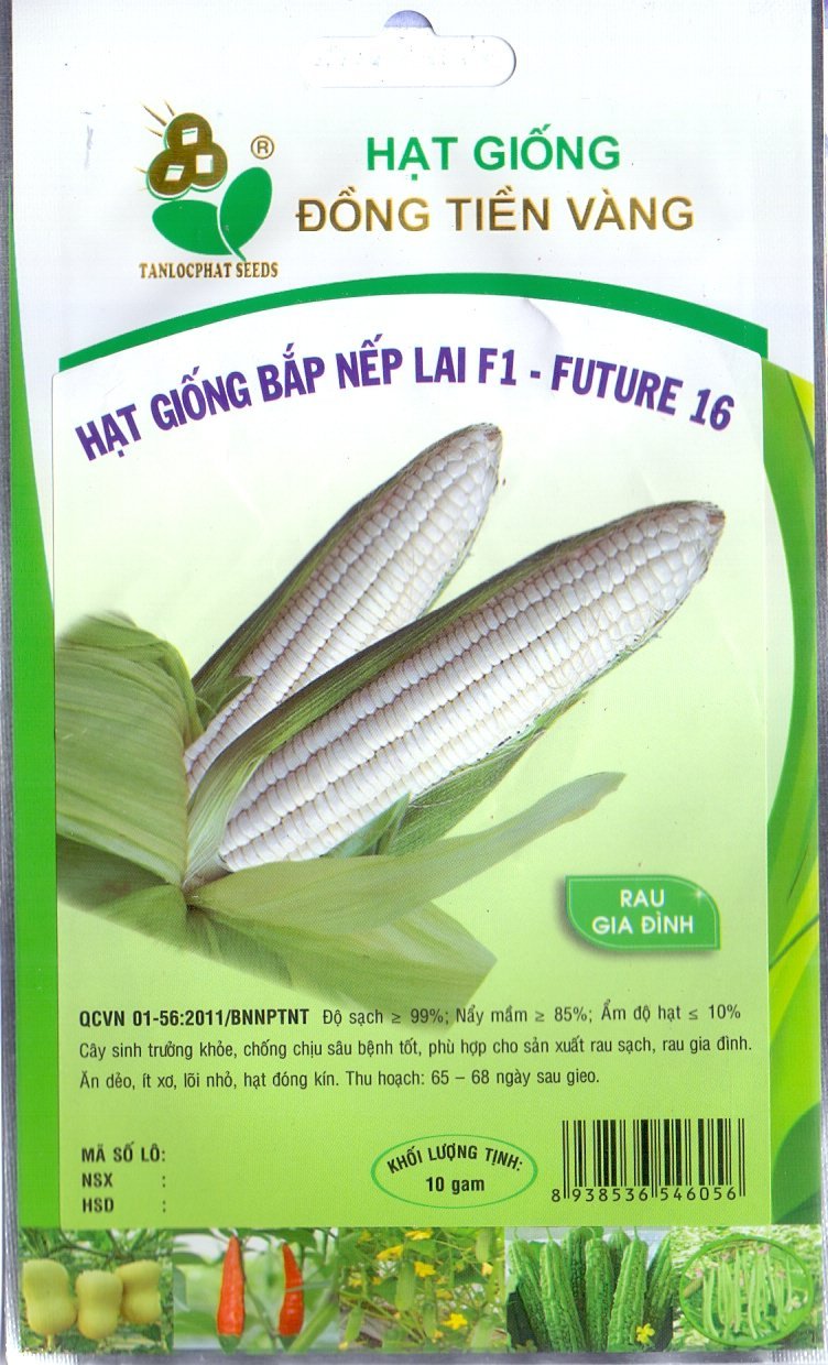 Hạt Giống Rau Gia Đình - HG Đồng Tiền Vàng (TLP)