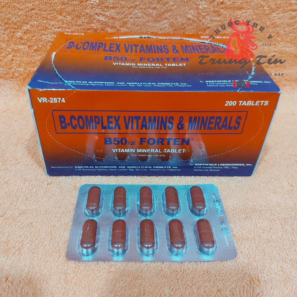B50 / 2 FORTEN (thuốc bổ cho gà đá ) Cao cấp PHILIPPINES , thuốc gà đá , thuoc ga , thuốc nuôi gà