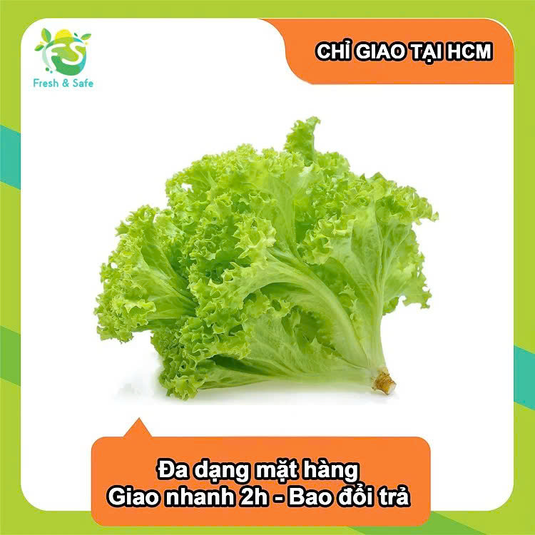 [Chỉ Giao HCM] Xà lách lolo xanh - 1kg (sỉ)