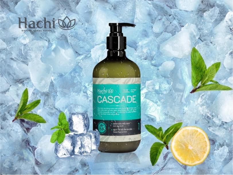 Dầu xả cao cấp olive Hachi Cascade dành cho tóc gàu